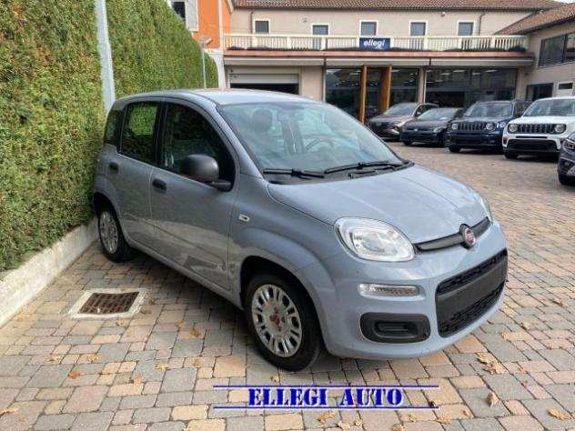 FIAT Panda 1.0 Hybrid Clima Air KM 0 rif. 19081589