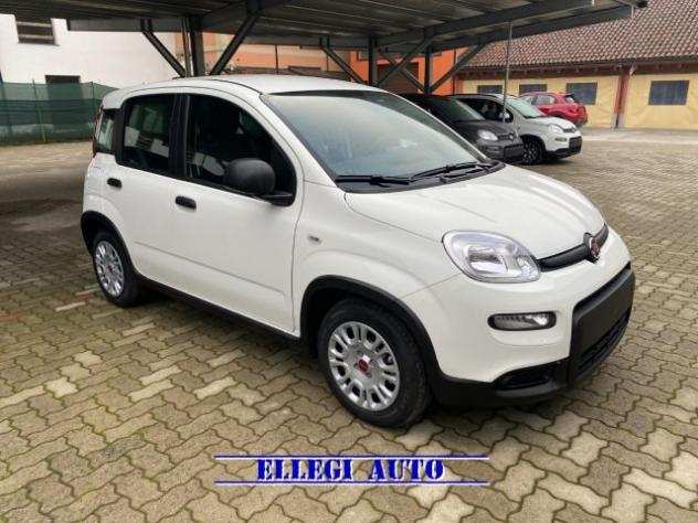 FIAT Panda 1.0 Hybrid Clima Air KM 0 rif. 19258528