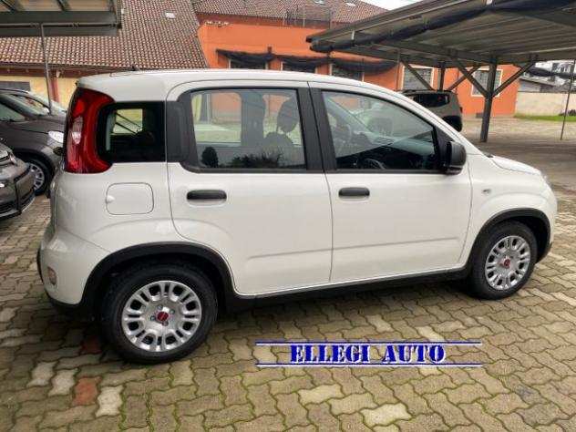 FIAT Panda 1.0 Hybrid Clima Air KM 0 rif. 19258528