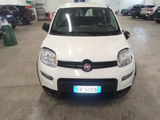 Fiat Panda 1000 benzina e ibrida sinistrata