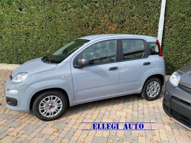 FIAT Panda 10990 EURO PROMO FINANZ 1.0 Hybrid KM 0 rif. 19226496