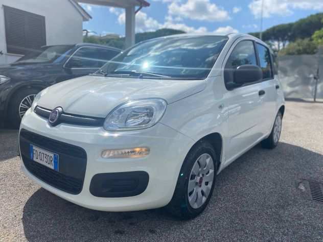 FIAT PANDA 1.2 69CV EASYPOWER E6 POP 5P Commercial hatch 5-door