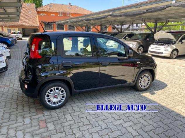 FIAT Panda PROMO FIN 1.0 FireFly SampS Hybrid MY 23 KM 0 rif. 19027369