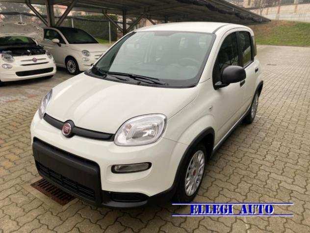 FIAT Panda PROMO FINANZ 5 POSTI 1.0 FireFly Hybrid KM 0 rif. 18583839