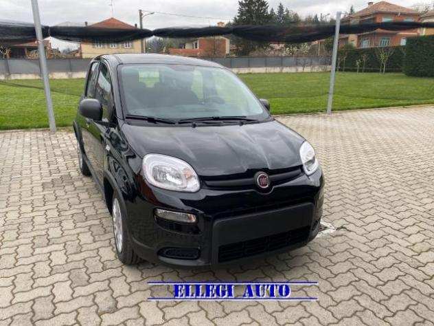 FIAT Panda PROMO FINANZ.COMFORT PLUS 1.0 FireFly Hybrid KM 0 rif. 19212926