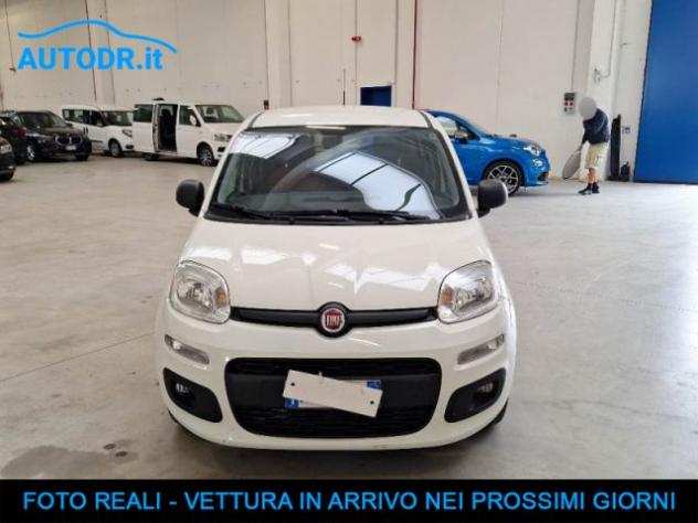 FIAT Panda Van 1.3 MJT 80CV 2 posti CLIMA RADIO KM CERTIFICAT rif. 21476965