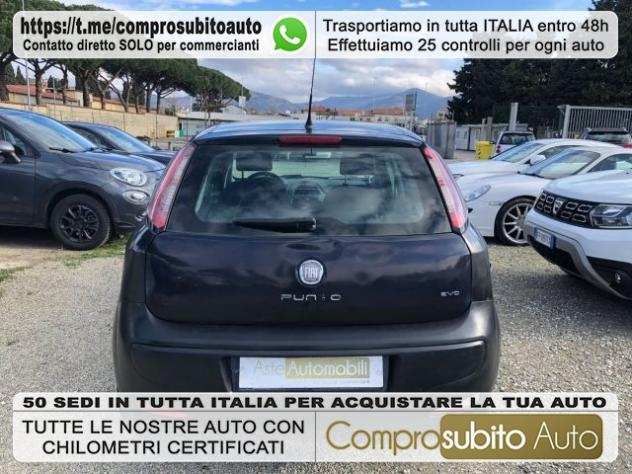 FIAT Punto Evo 1.3 Mjt 75 CV 5 porte Active VERNICE SCIUPATA rif. 18928324