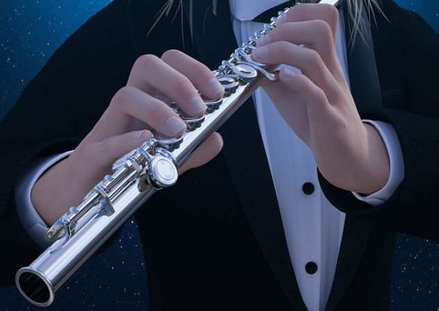Flautista professionista a Genova