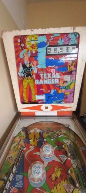 Flipper Texas Ranger