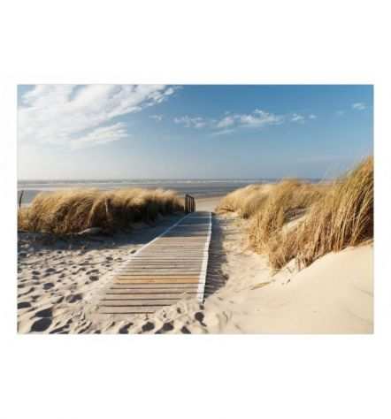 Fotomurale Adesivo Con La Passerella Sulla Spiaggia Arredalacasa