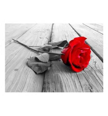 Fotomurale Adesivo Con Una Rosa Rossa Sul Legno ARREDALACASA
