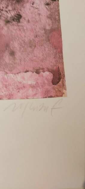 Franco Rognoni litografia originale a colori 35 x 50 foglio 50 x 70 interno rosa