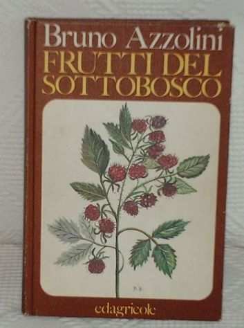 Frutti del sottoboscoBruno Azzolini1976