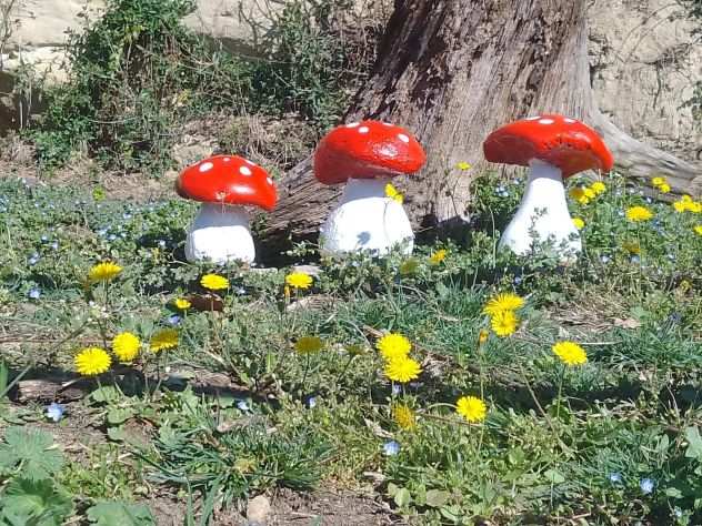 Funghi per arredo giardino