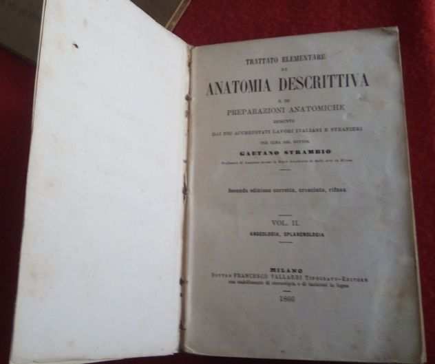 G. Strambio - Trattato elementare di anatomia descrittiva - 1866