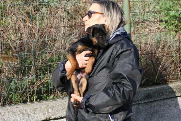 Gary 4 mesi piccolo cucciolo gettato come spazzatura