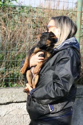 Gary 4 mesi piccolo cucciolo gettato come spazzatura