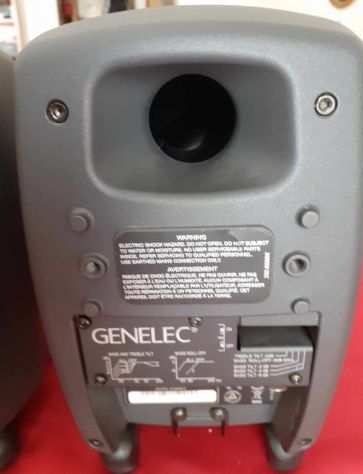 GENELEC 8010 AP coppia MONITOR