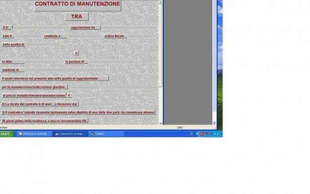 GESTIONALE IMPRESA DI GIARDINAGGIO SU PEN DRIVE O PER EMAIL