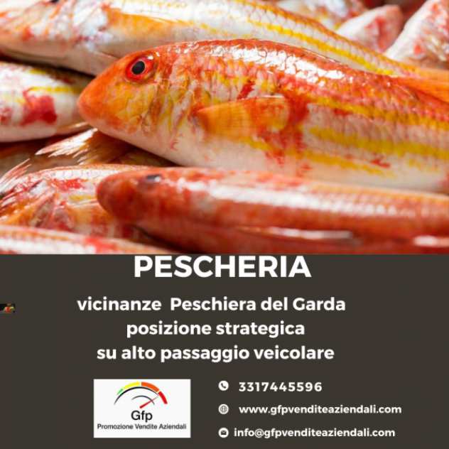 GFP - Pescheria entroterra lago