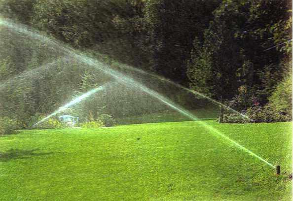 Giardinaggio-irrigazione-potature alto fusto-lavori agricoli