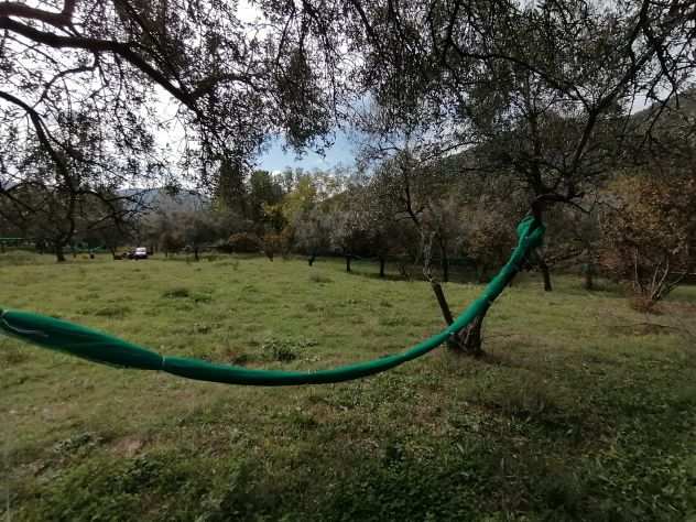 GIFFONI VALLE PIANA LOC. BELVEDERE Terreno di 13 ETTARI