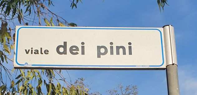 GIORGILORIO VILLETTA A SCHIERA AL PIANO RIALZATO