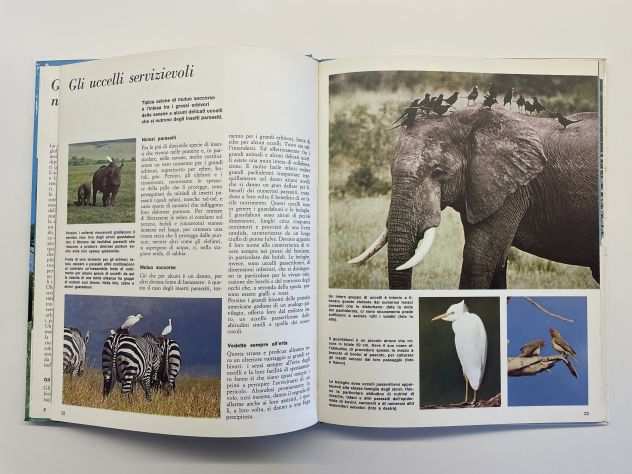 Gli animali e lambiente, La prateria e la savana, F. Colombo, 1974