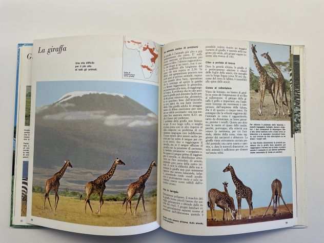 Gli animali e lambiente, La prateria e la savana, F. Colombo, 1974