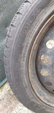 Gomme 19555
