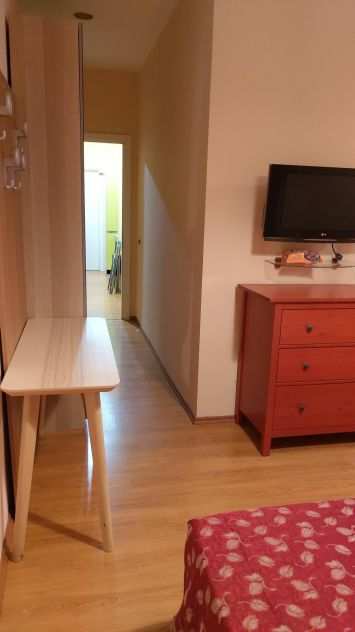 grande camera con bagno privato zona citta studi