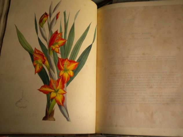 Grande libro di botanica