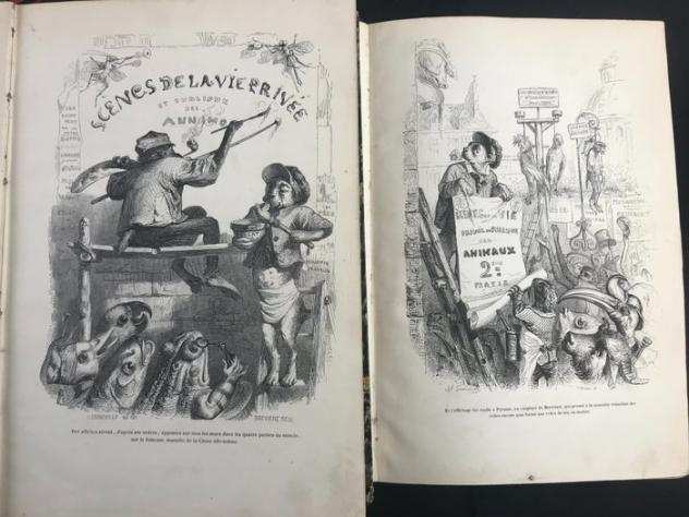 Grandville (Jean Ignace Isidore Geacuterard) e.a. - Scene de la Vie Priveacutee et Publique des Animaux - 1842