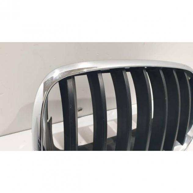 GRIGLIA PARAURTI ANTERIORE SINISTRA BMW X5 Serie (E70) 5113-7171395 Diesel 3.0 (0613)