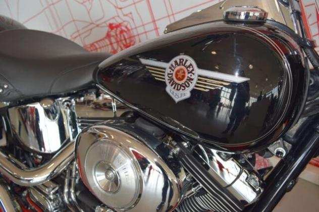 Harley-Davidson FLSTF 2002 2002