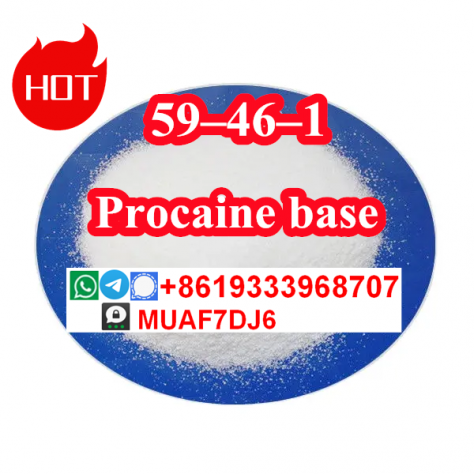 High quality Procaine base powder CAS59ndash46ndash1 China factory supply