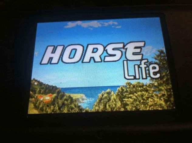 Horse Life - Nintendo DS Versione Italiana Ed. Depp Silver, 2007 perfetto