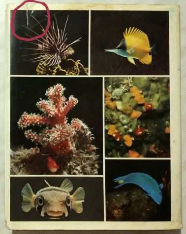 I segreti del mare Selezione dal Readers Digest Readers 1976 ottimo