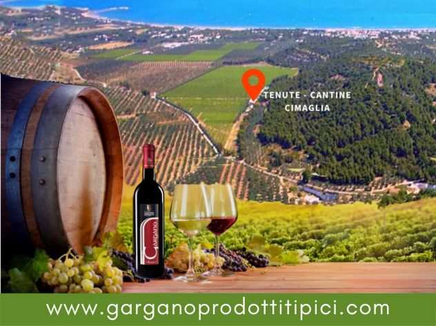 I Vini e gli olii del Gargano - Tenute Cantine Cimaglia