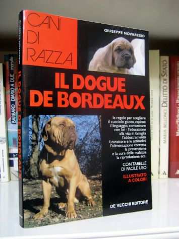 Il Dogue De Bordeaux