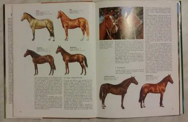Il grande libro del cavallo di De Maria Luciano Ed.De Agostini 1985 come nuovo
