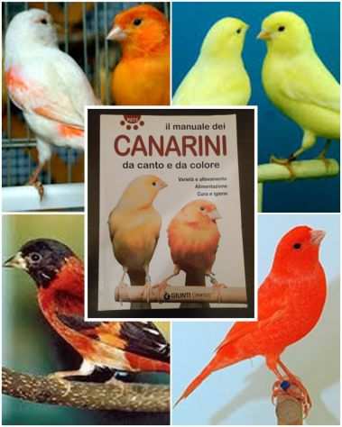 il manuale dei CANARINI da canto e da colore, E. TONELLI, GIUNTI DEMETRA 2006.