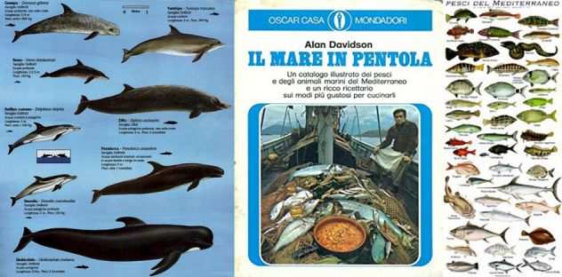 IL MARE IN PENTOLA, Alan Davidson, Prima edizione Giugno 1972.