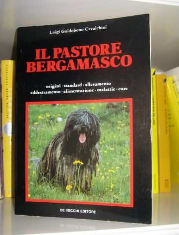 Il Pastore Bergamasco