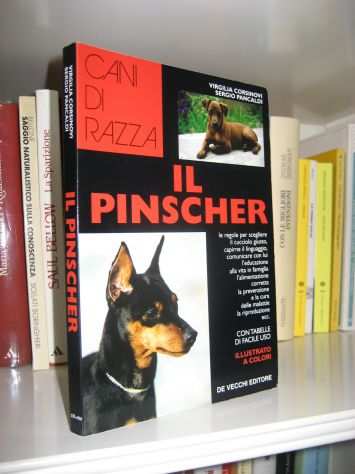 Il Pinscher