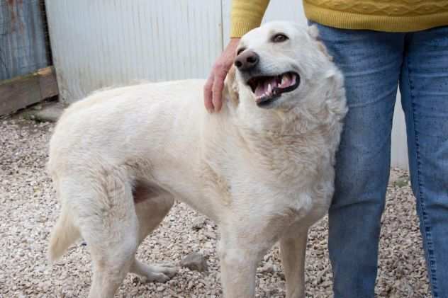 IL SORRISO DI SUSI