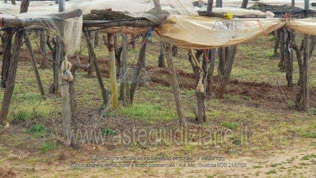 IMMOBILI-ALTRA CATEGORIA-Localitagrave quotorsanesequot