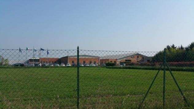 IndustrialeArtigianale in vendita a Collecchio, Stradella