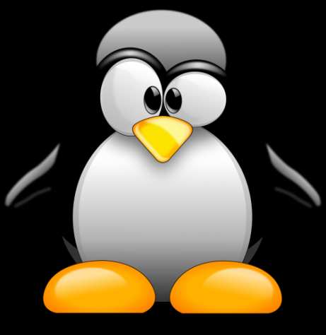 Installazione sistema operativo Linux (Mint)