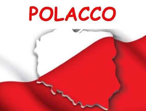 Interprete madrelingua polacca - traduzioni in polacco - p.iva